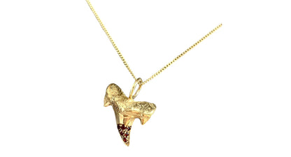 Ciondolo Dente di squalo