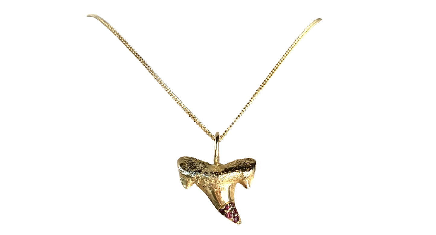 Ciondolo Dente di squalo
