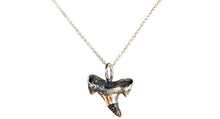  Ciondolo Dente di Squalo in Argento