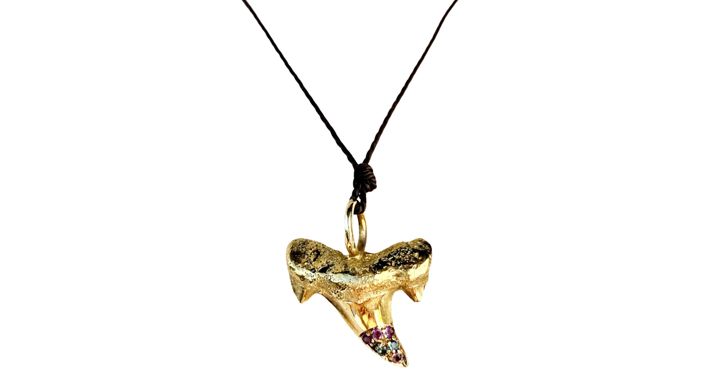 Ciondolo Dente di Squalo 